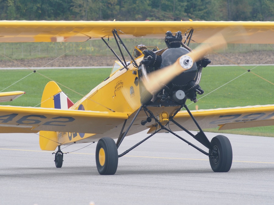 Fleet Finch
