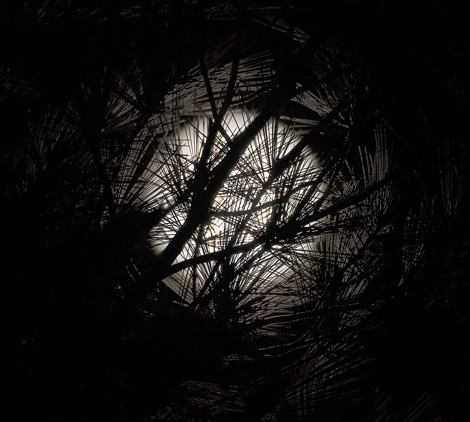 Harvest Moon over Ripple Pond