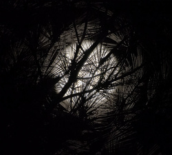 Harvest Moon over Ripple Pond
