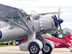 Lysander