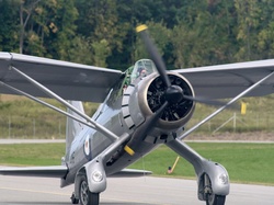 Lysander