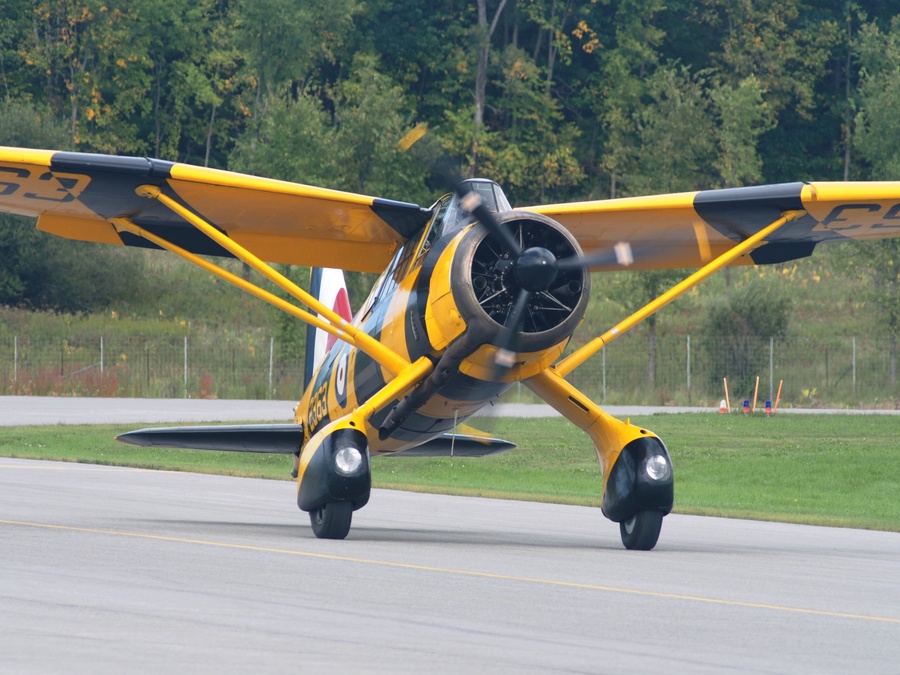 Lysander