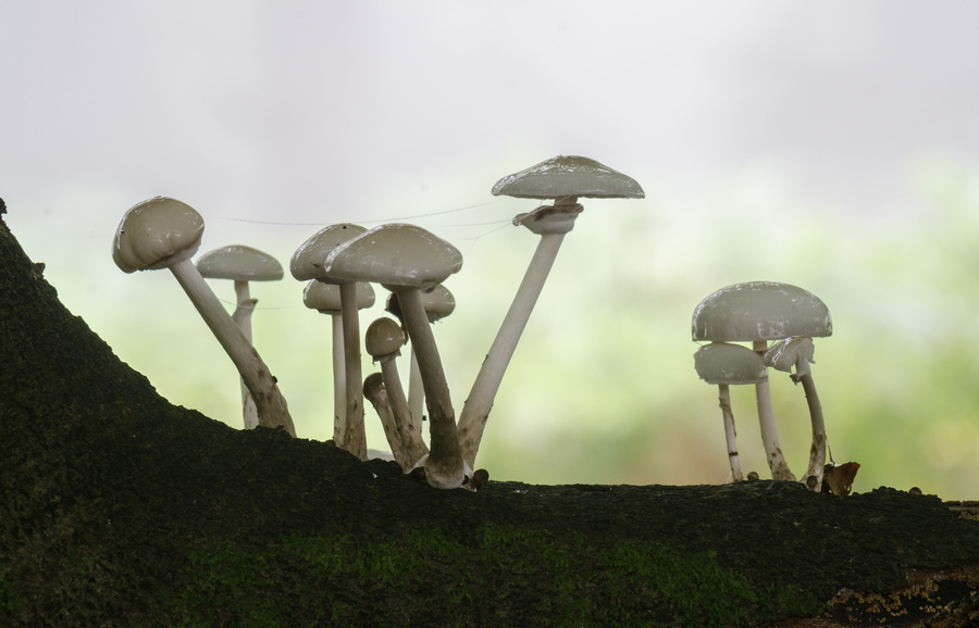 DSC_2853.jpg