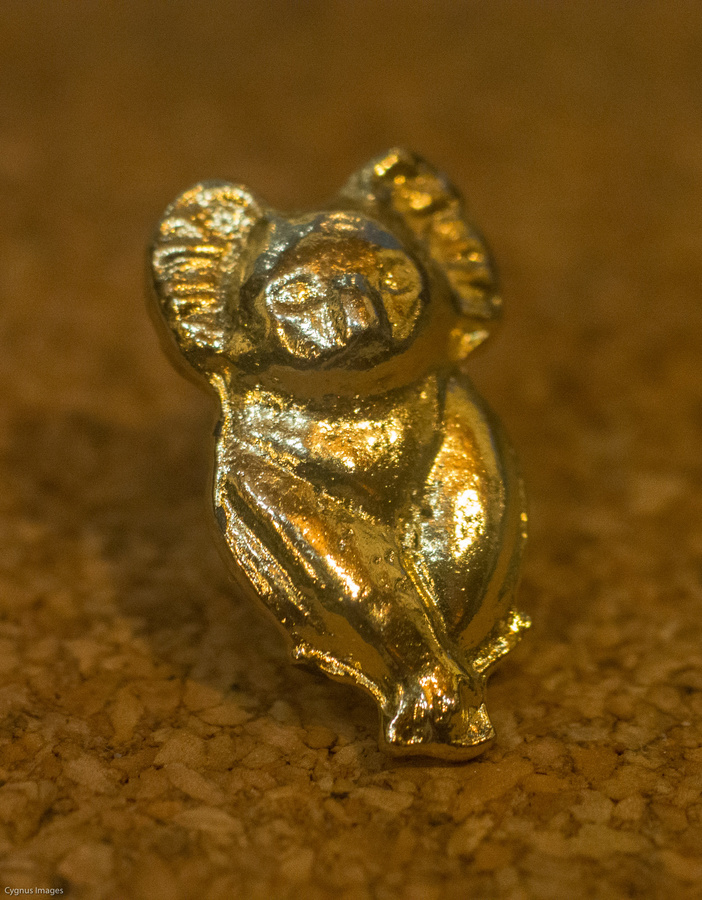 A Thank-You Koala
