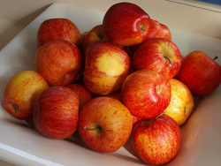 Apples