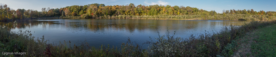 Porter Pond