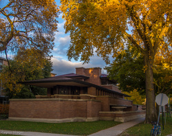 Robie In Fall