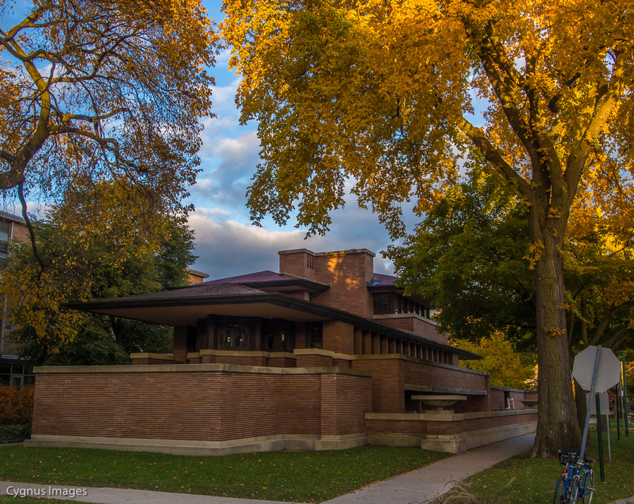 Robie In Fall
