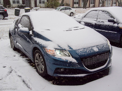Zeke's First Snow