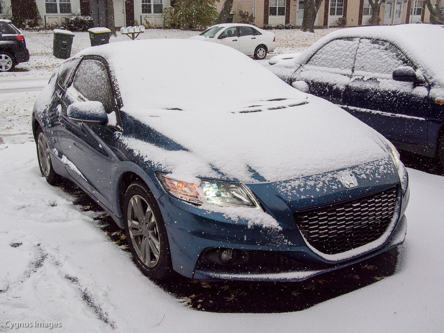 Zeke's First Snow