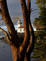 Lime Kiln Lighthouse 2
