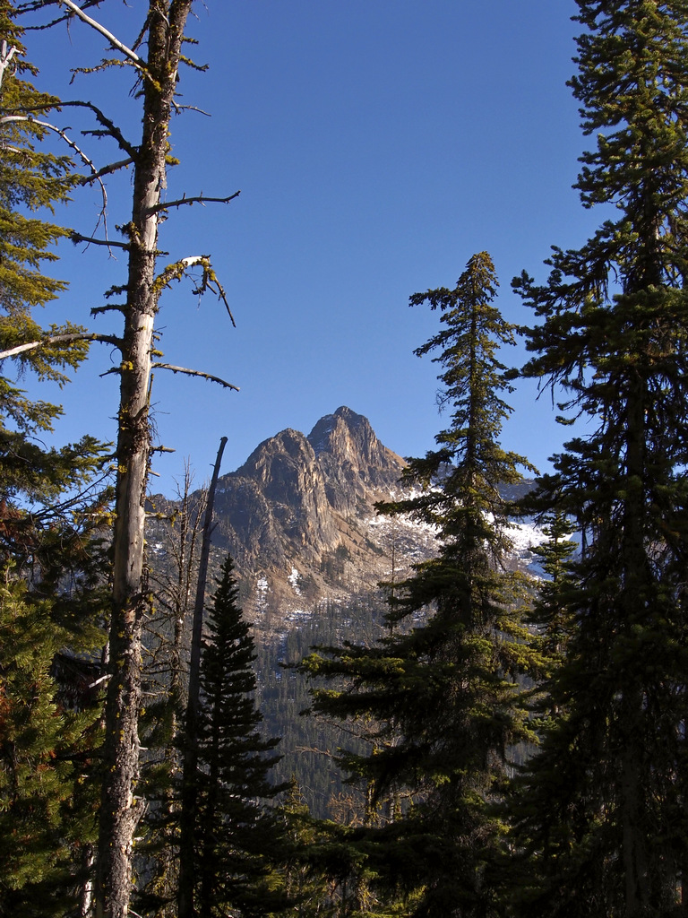 On the Trail to Cutthroat Pass