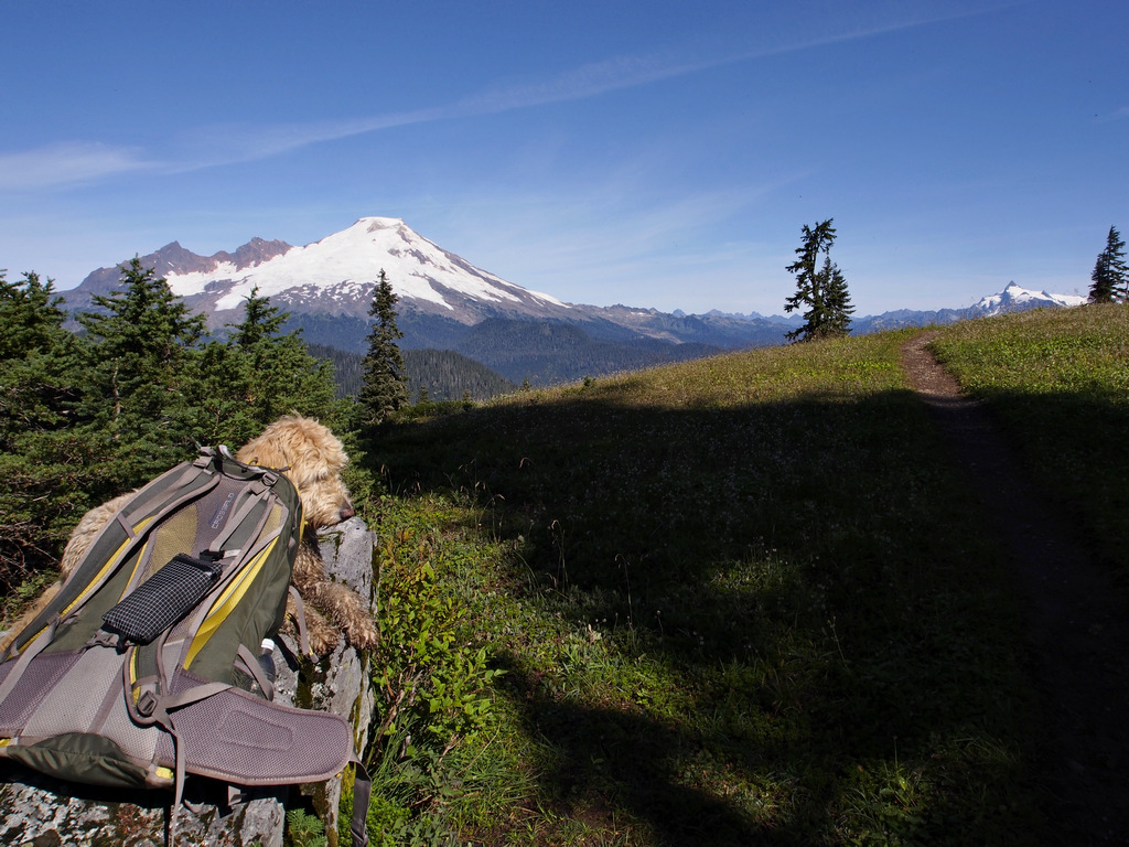 On the Way to Dock Butte