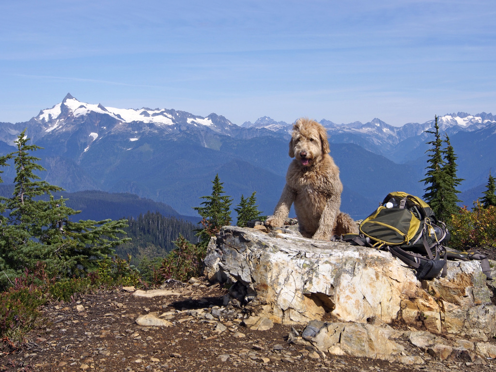 GusGus Climbs Dock Butte