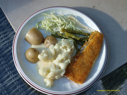 Light evening meal