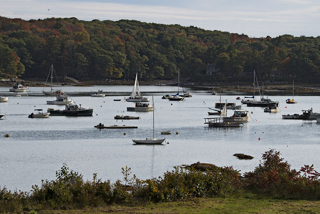 Round Pond Harbor