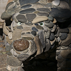 Stony Gaze