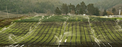 Irrigation