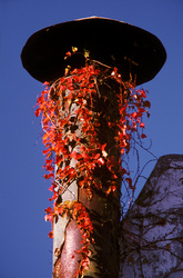chimenea roja [red chimney]