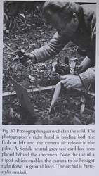 John Johns, ARPS, photographing a flowering orchid