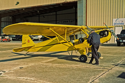 Cub with Current Owner