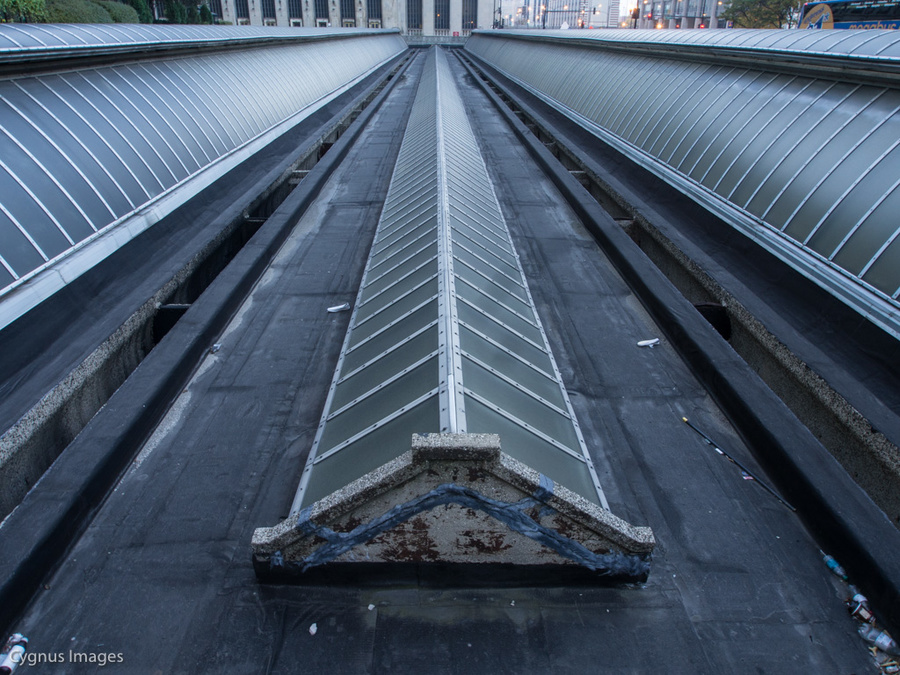 Train Shed Roof