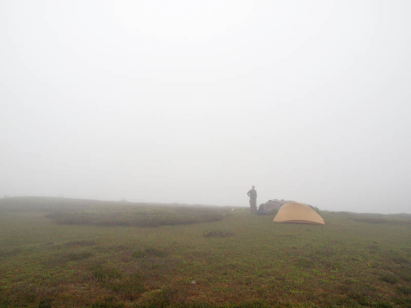 Foggy Campsite