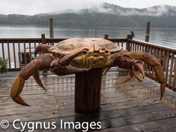 One Crab, Extra Large