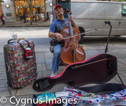 Not Your Average Street Musician