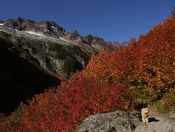 Hannegan Peak Trail