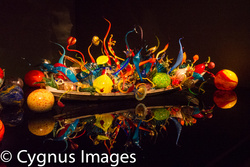 Chihuly Museum