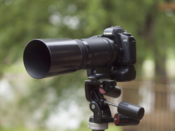 Shooting with the Tamron 200-400mm Di LD Zoom