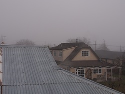 P7103001-fog-1200-USM10