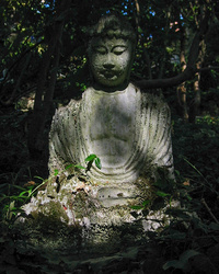 Dappled Buddha