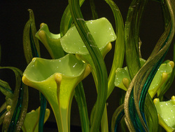 Chihuly Flowers