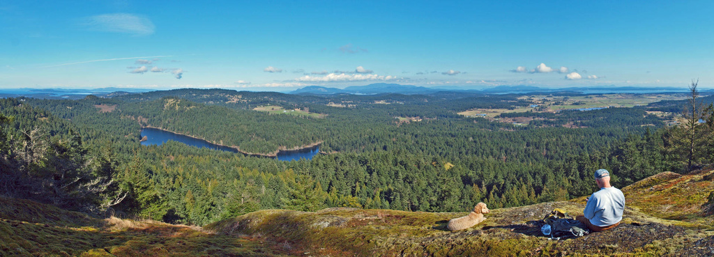 Trout Lake Overlook