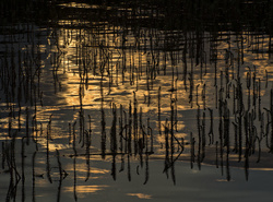 Sunset Reflections, Paulina Lake, OR