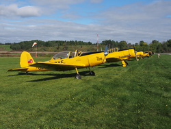Chipmunk, Harvards and other trainers